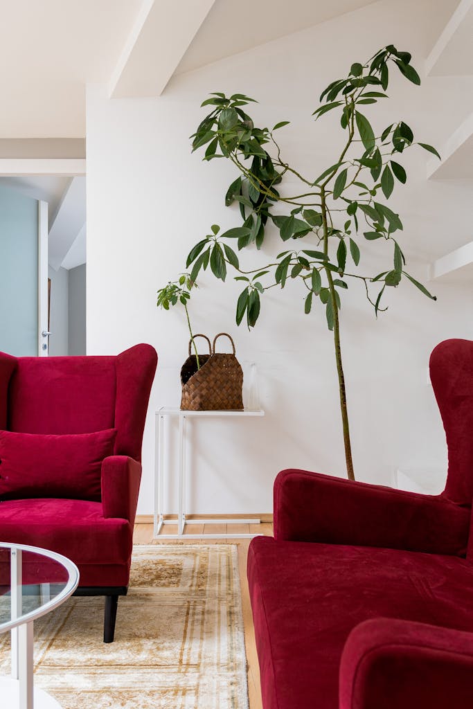 Bright interior featuring red armchairs, indoor plant, and minimalist design.